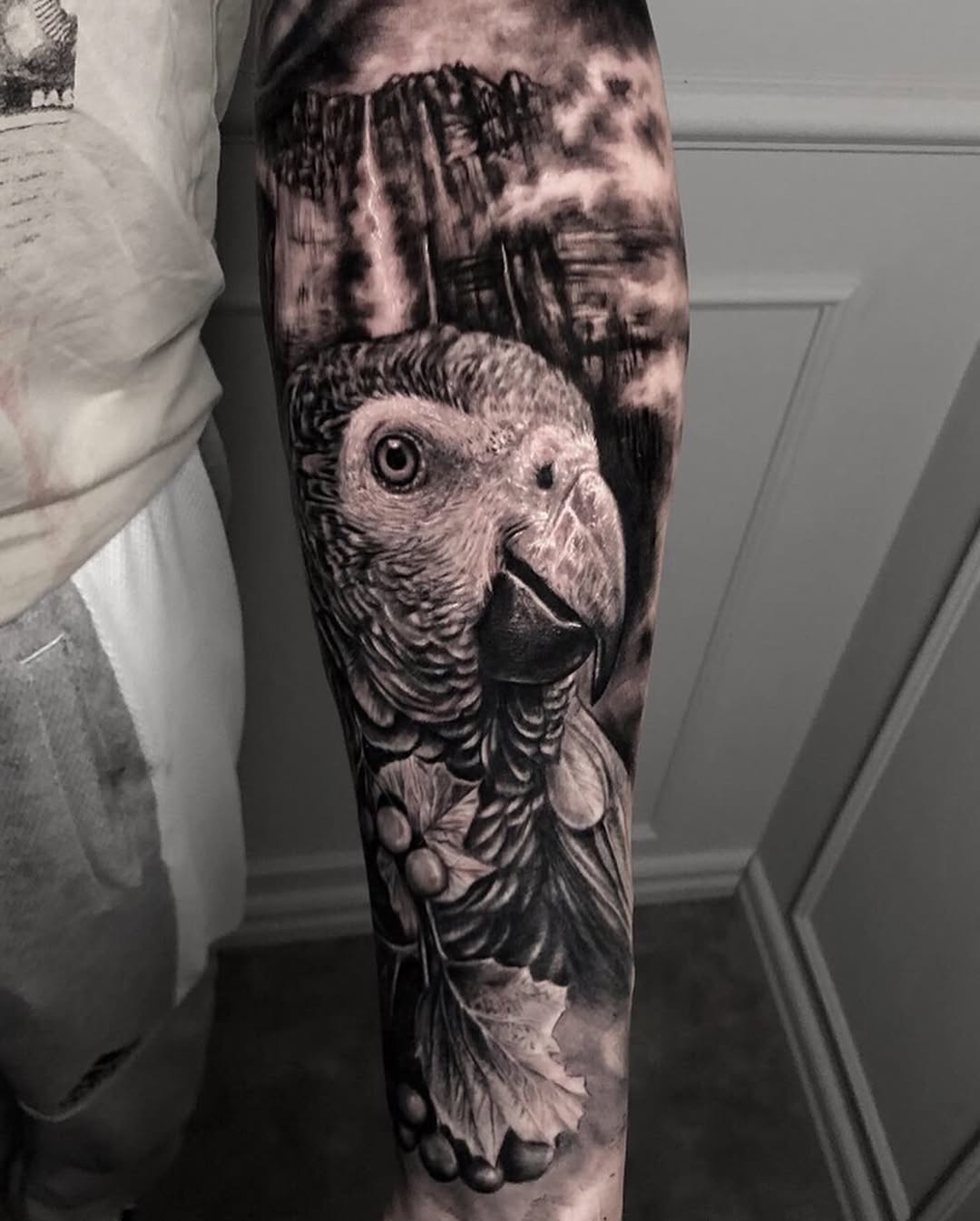 Animal, Nature