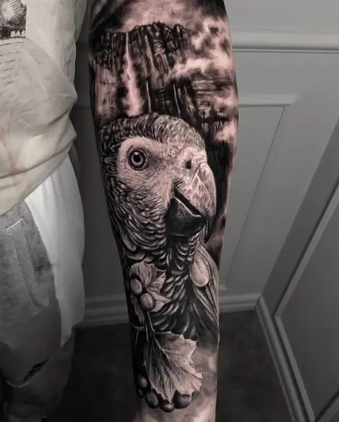 Animal, Nature