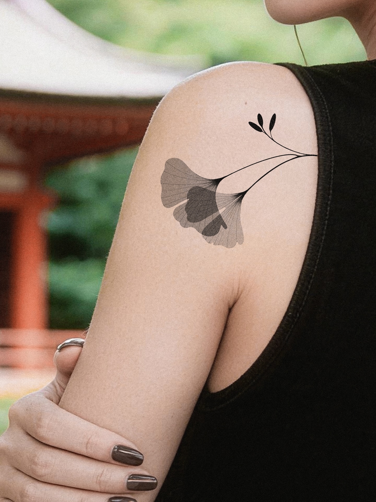 Flower, Nature, Rose