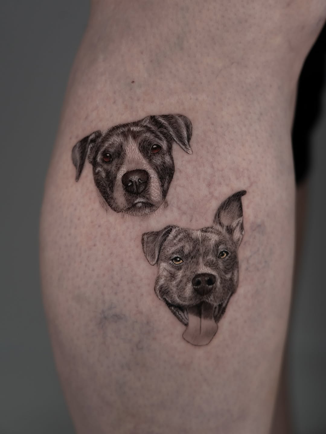 lewis.tattoo