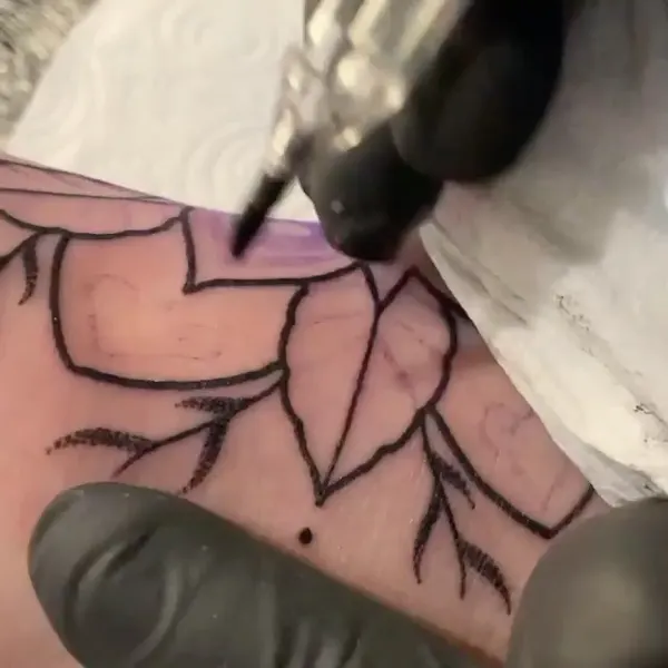equilattera