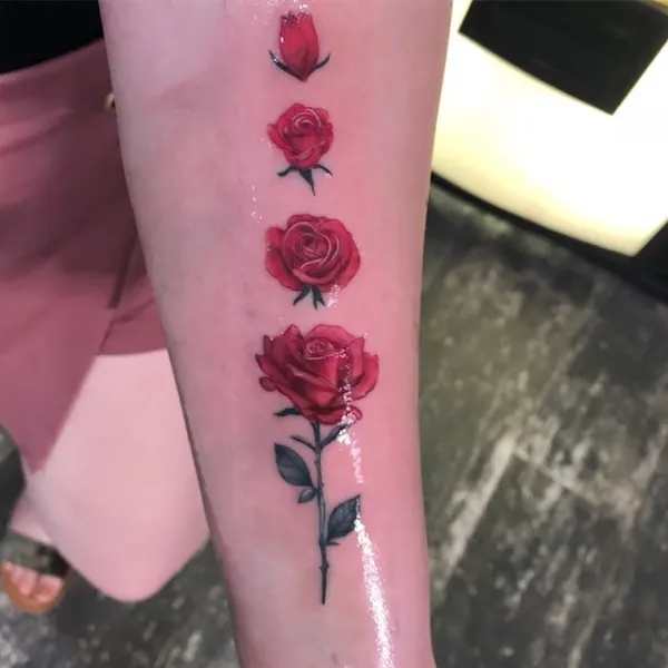 Flower, Rose