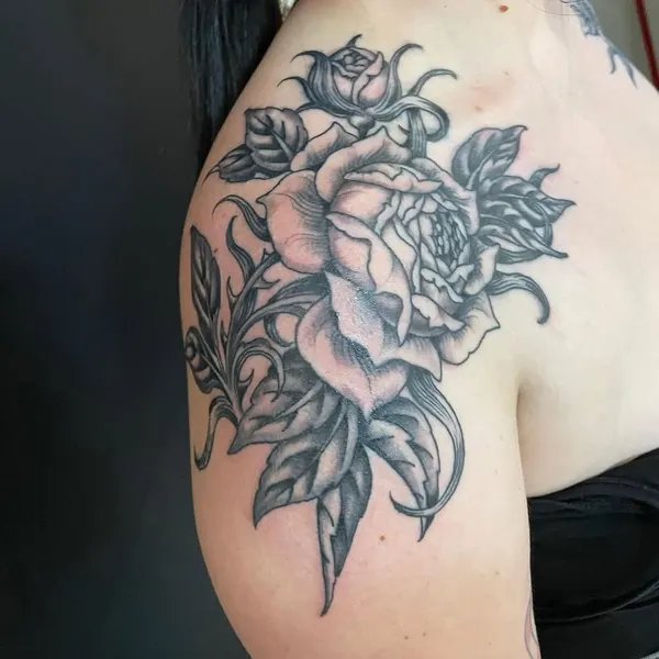 Flower, Rose, Nature