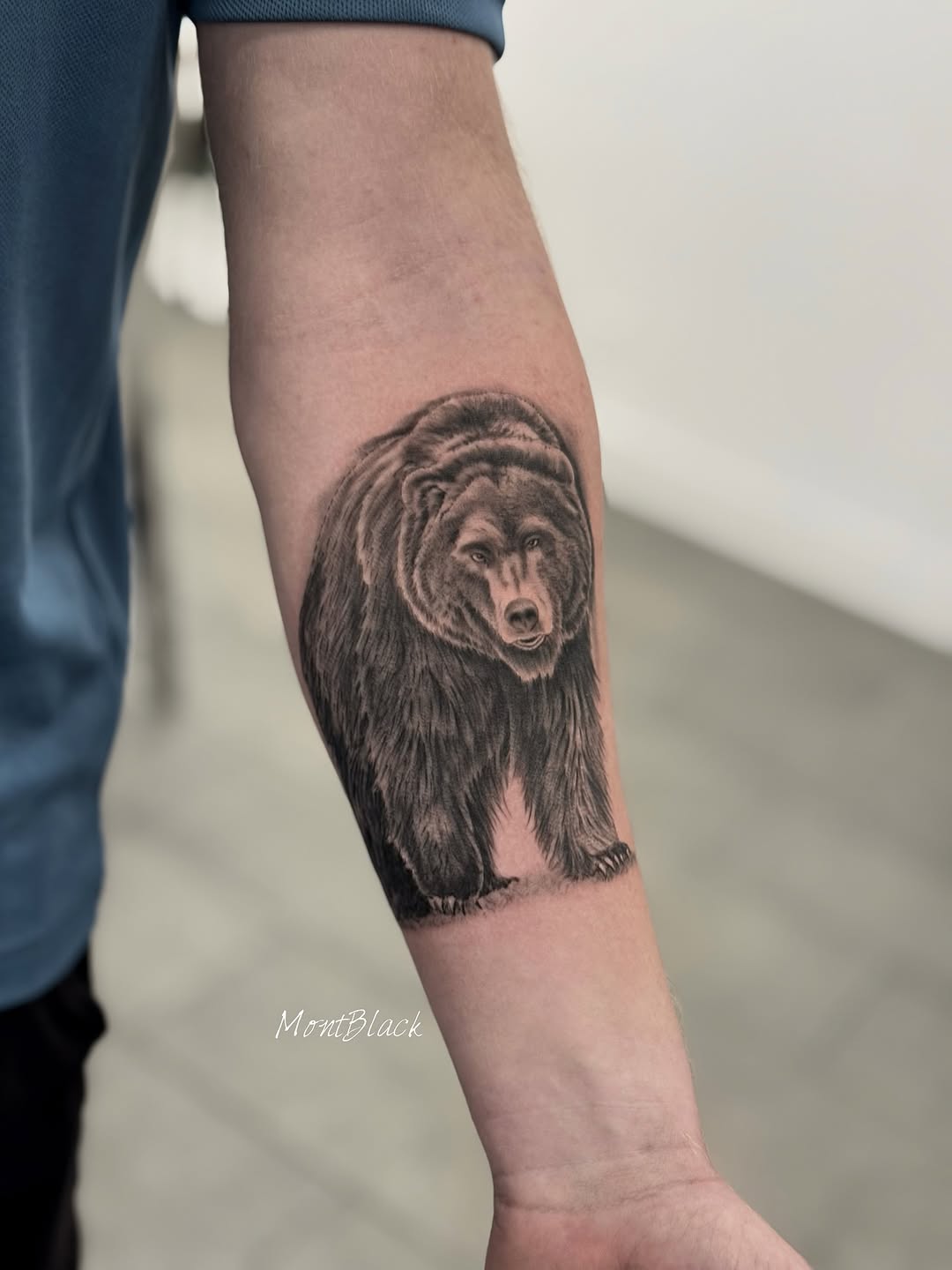 Animal