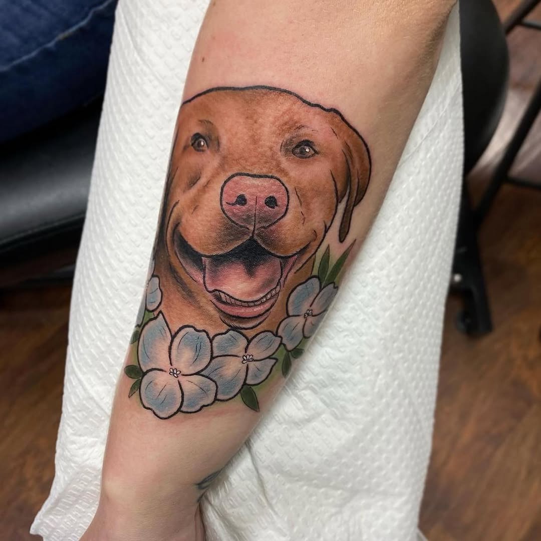 Animal