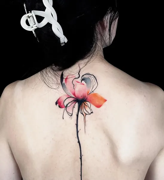 Flower, Nature, Rose