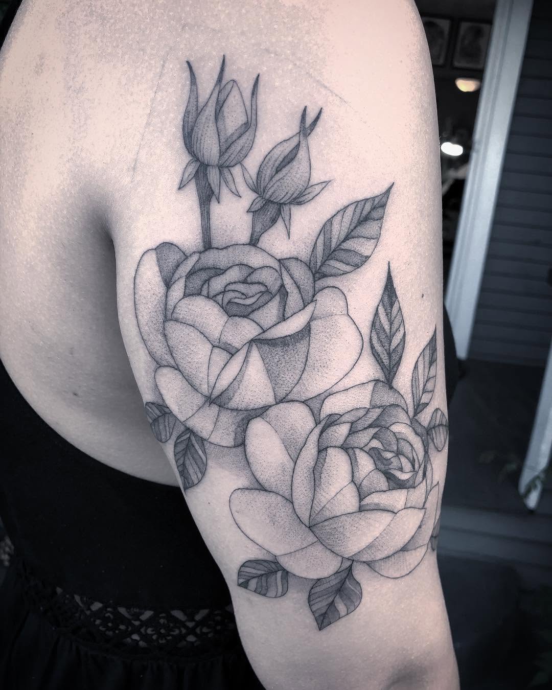 Flower, Rose, Nature