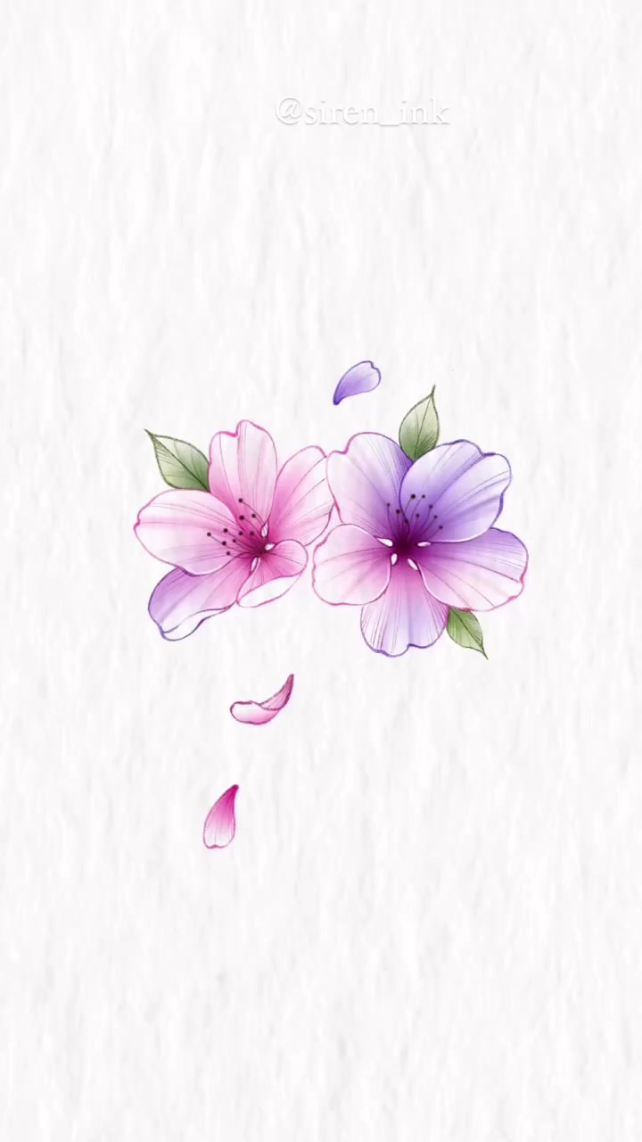 Flower, Nature