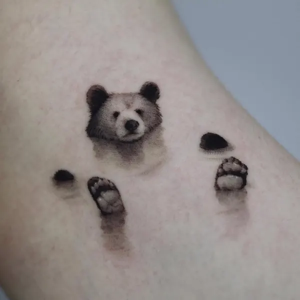 Animal, 곰, 판다, 너구리, 발자국, 코알라, 나무늘보, 대나무