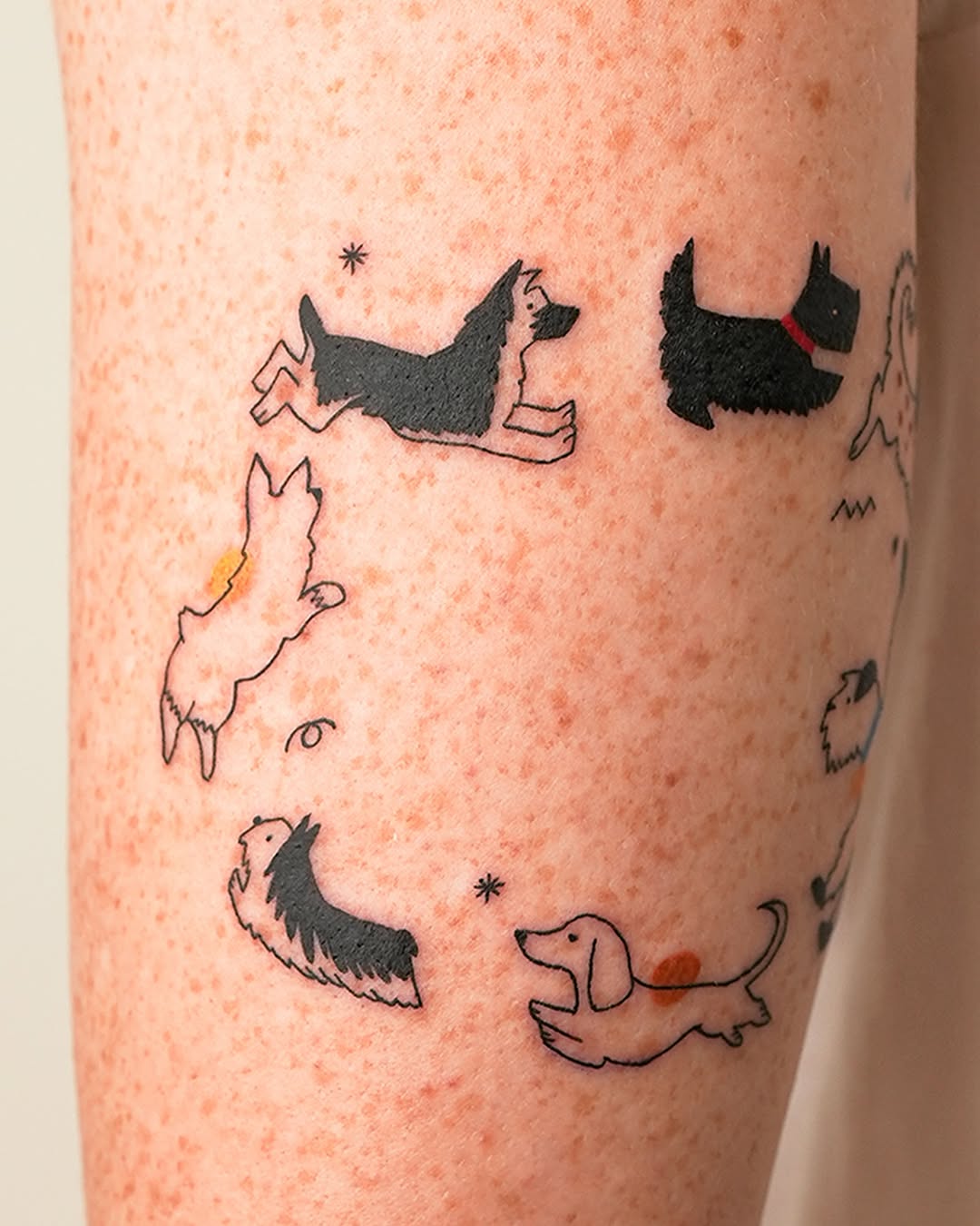 Mini, Animal