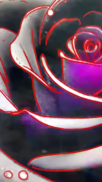 Flower, Rose