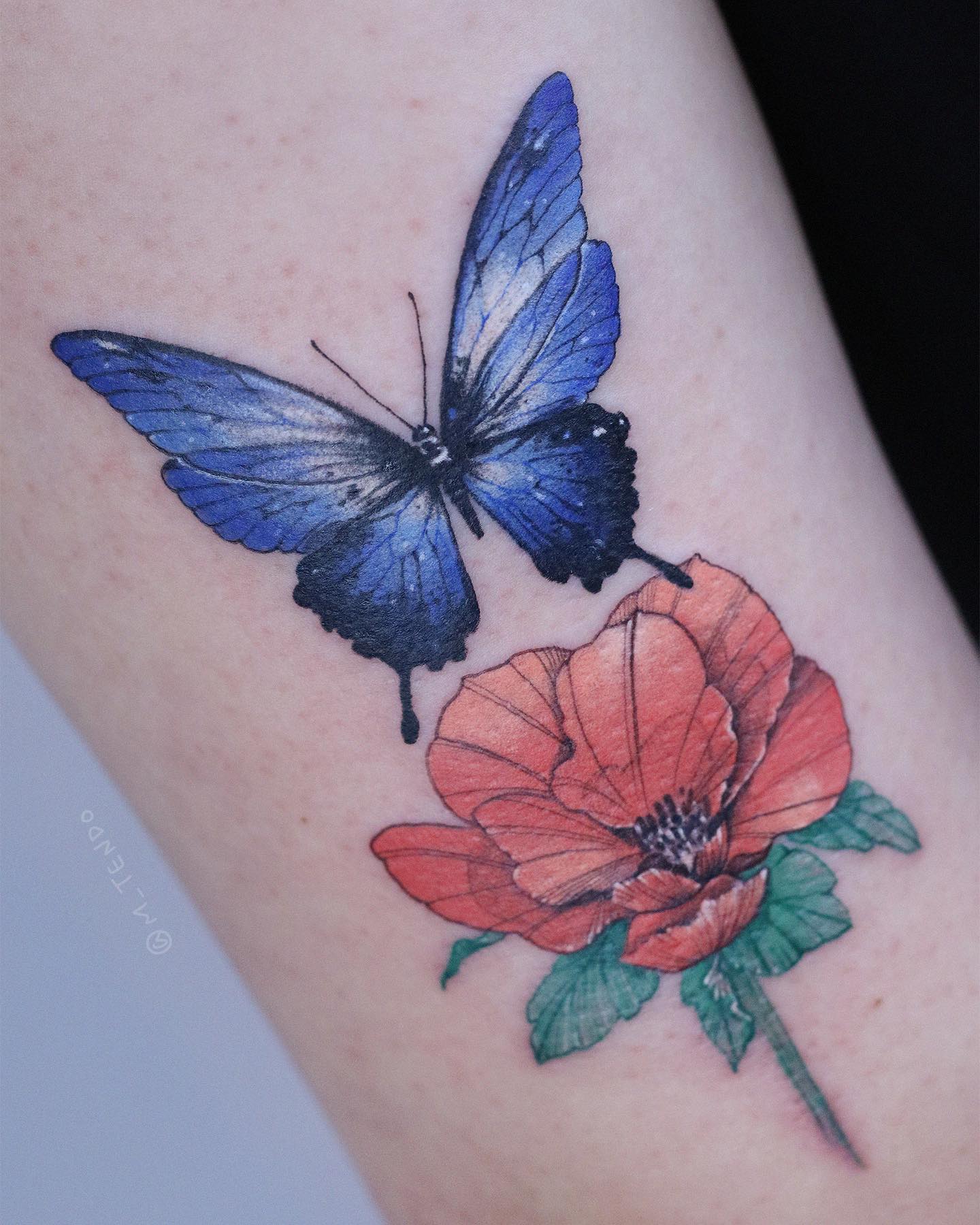 Animal, Nature, Flower