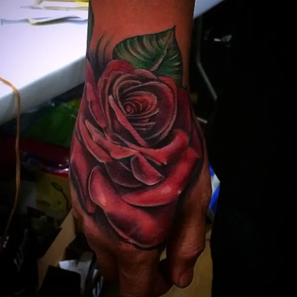 Flower, Rose
