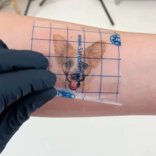 paw.tattoo