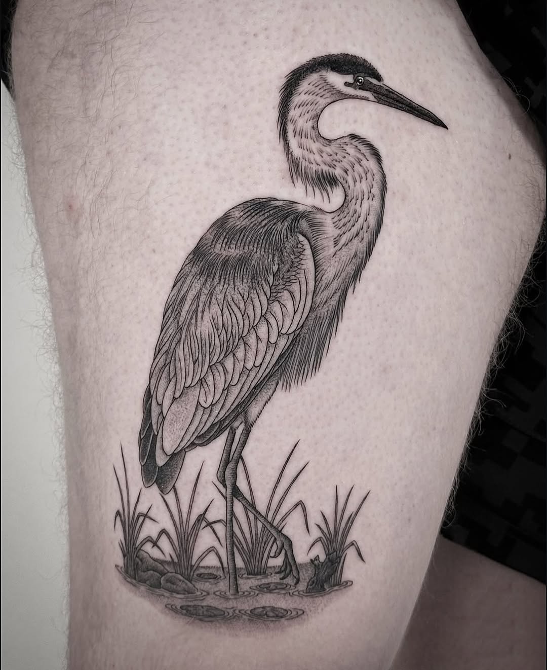 Full Circle Tattoo
