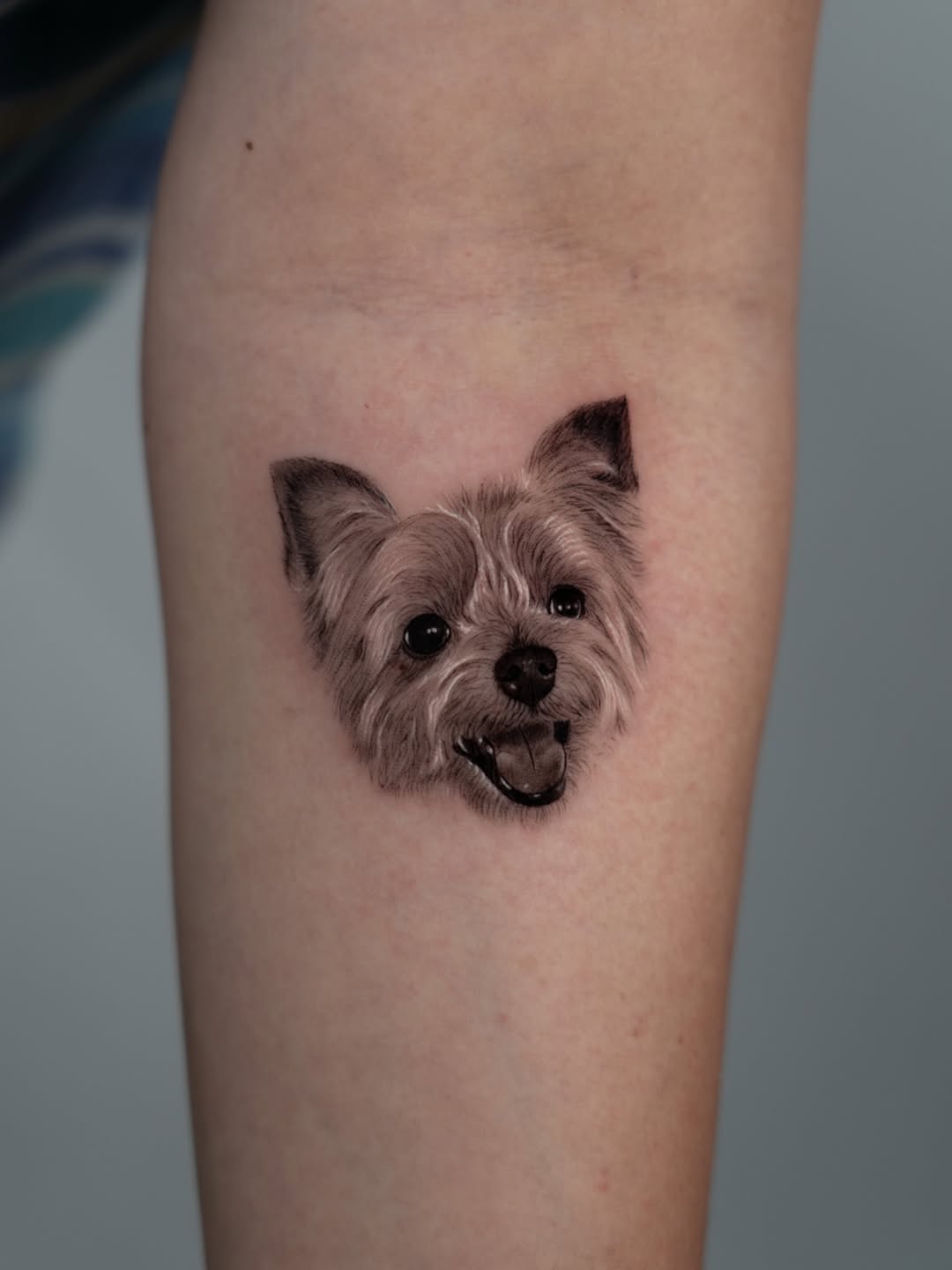 lewis.tattoo