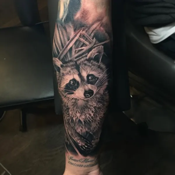 Animal