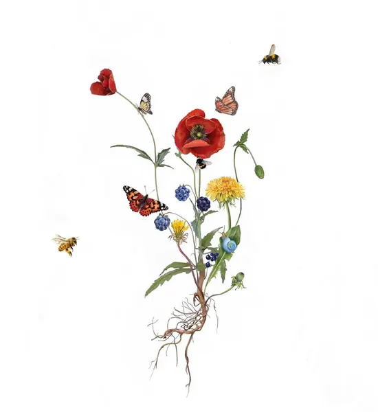 Flower, Nature