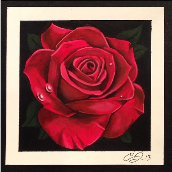 Flower, Rose