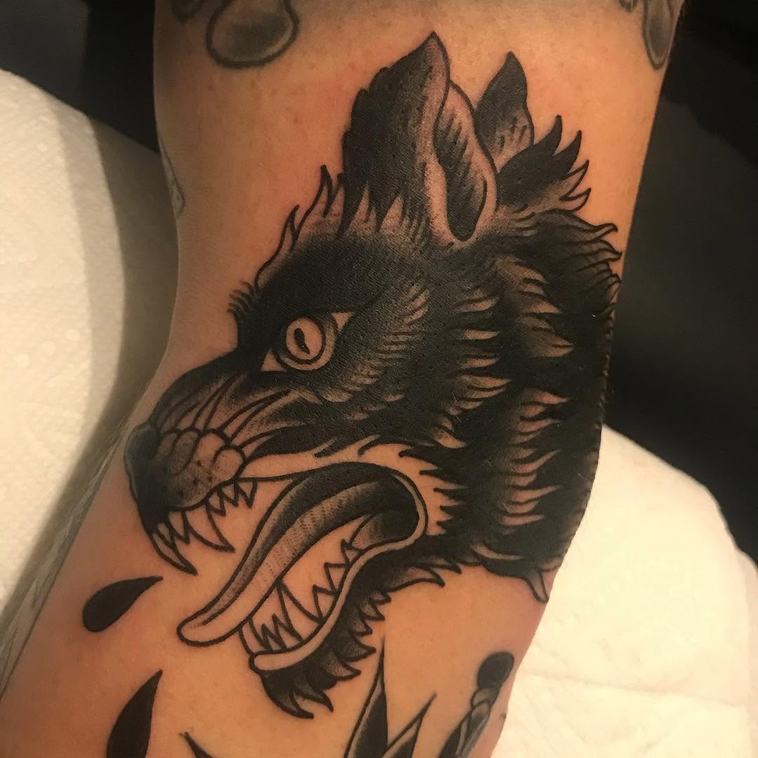 Tiger, Animal