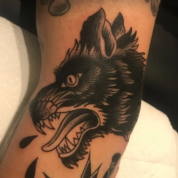 Tiger, Animal