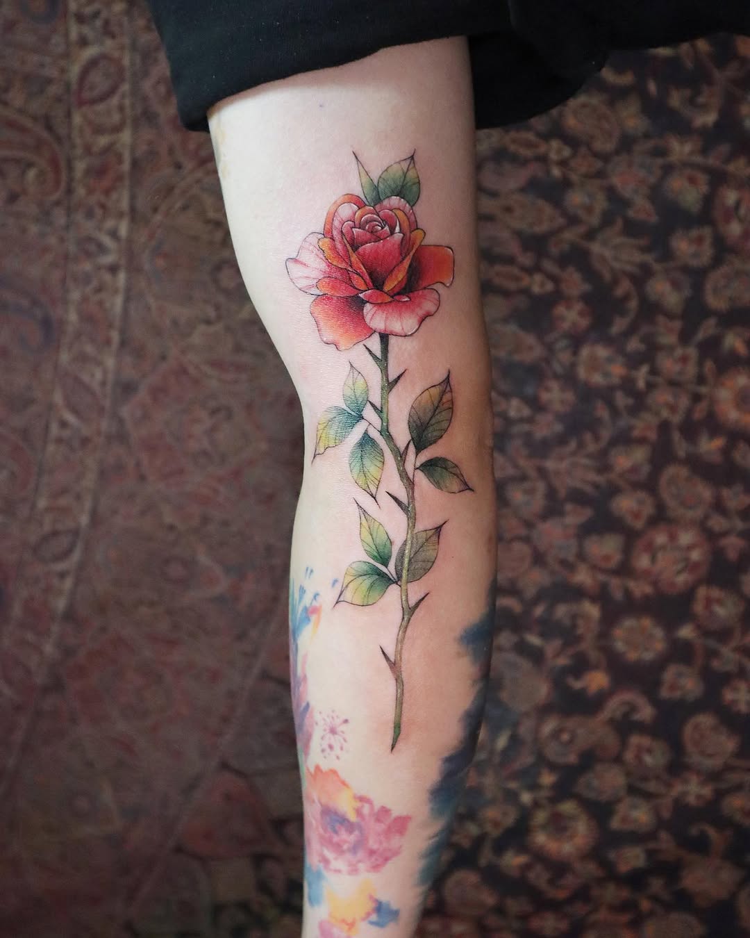 Flower, Rose
