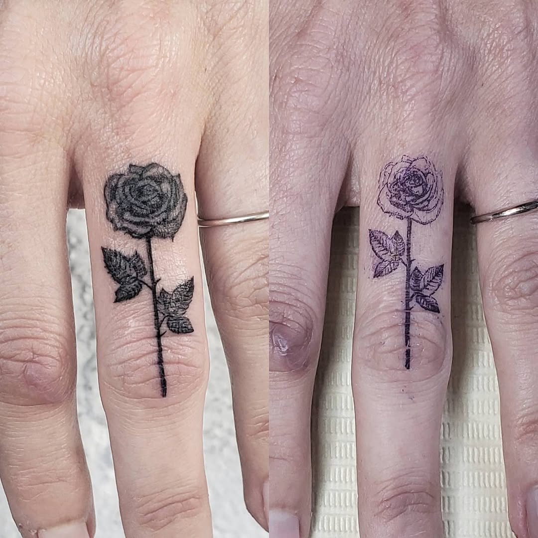 Flower, Rose