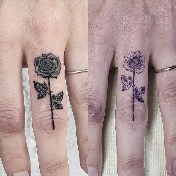 Flower, Rose