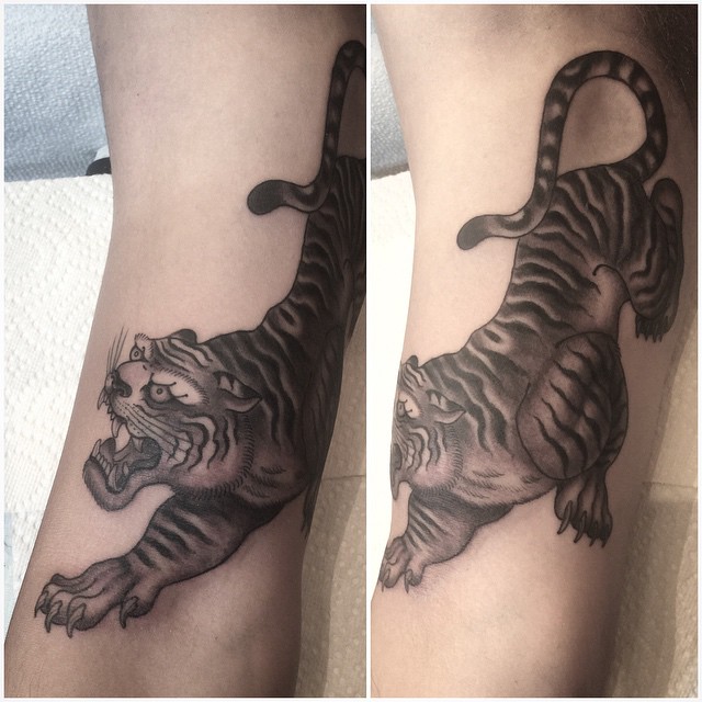 Tiger