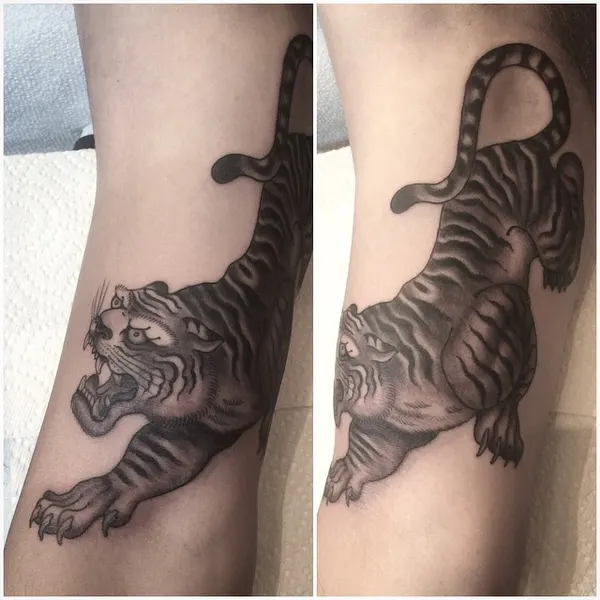 Tiger