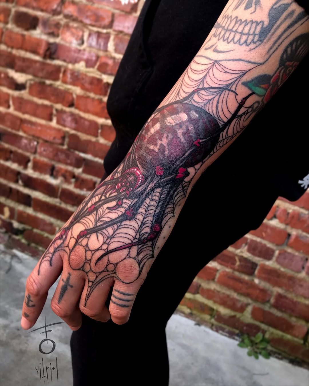 Animal