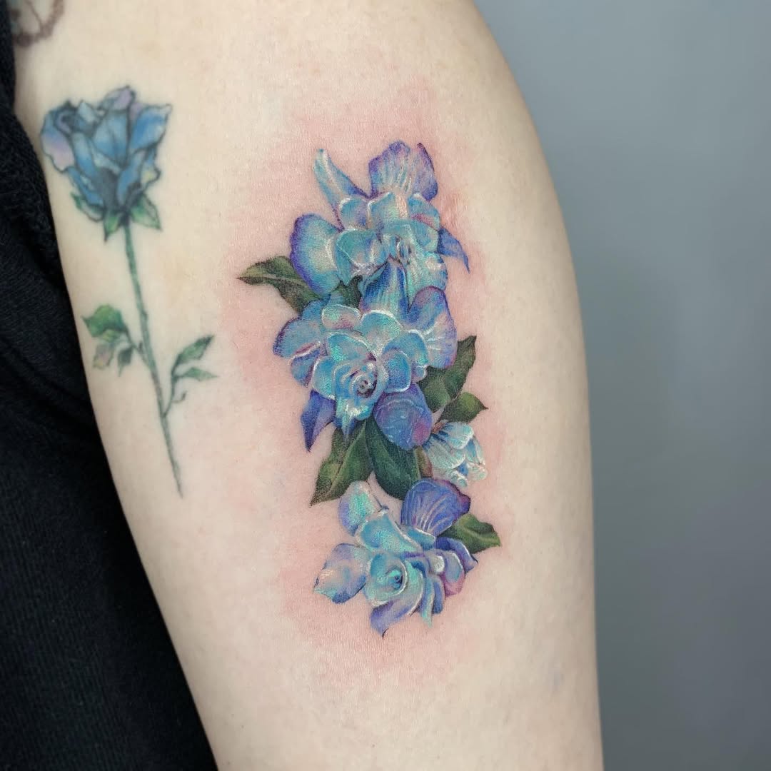 Flower, Rose