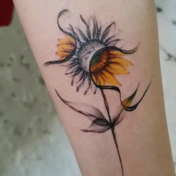 Flower, 해바라기, 데이지