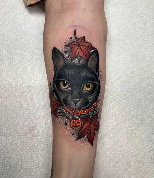 Animal