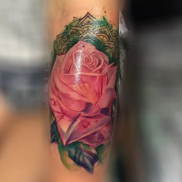 Flower, Rose