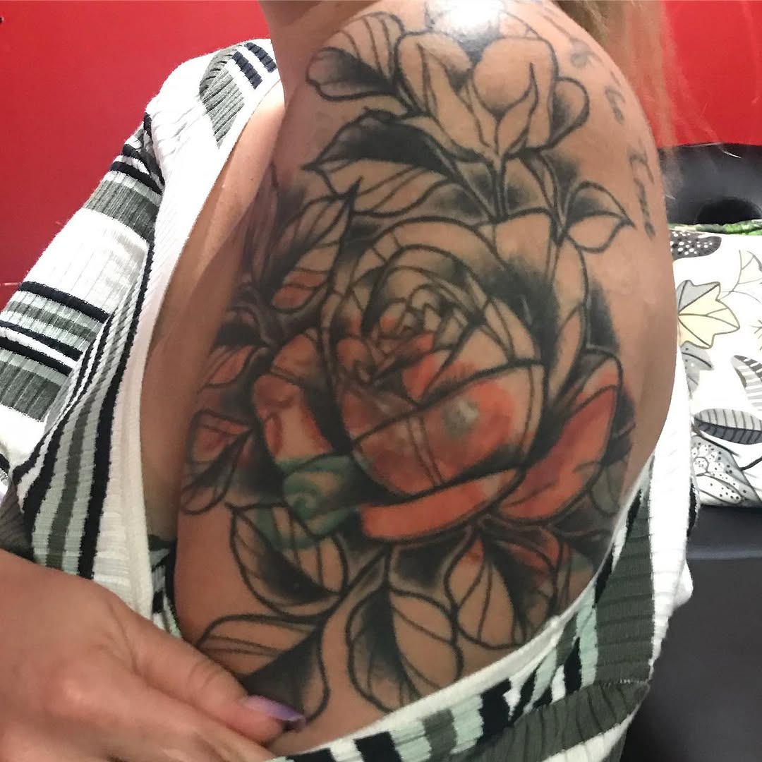 Flower, Rose, Nature