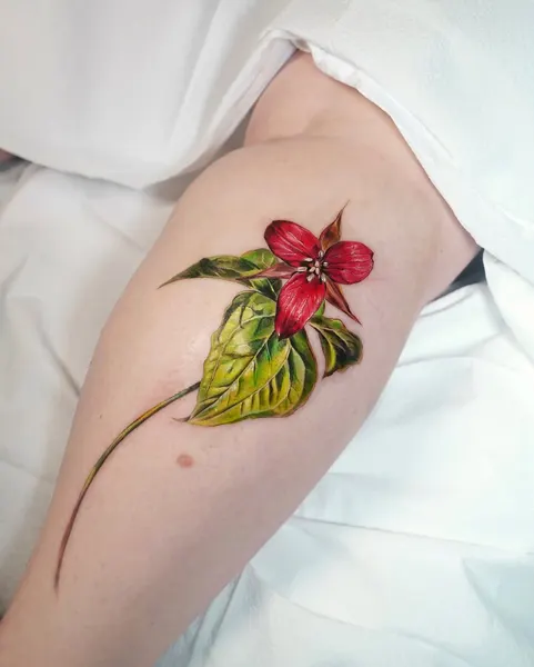 Flower