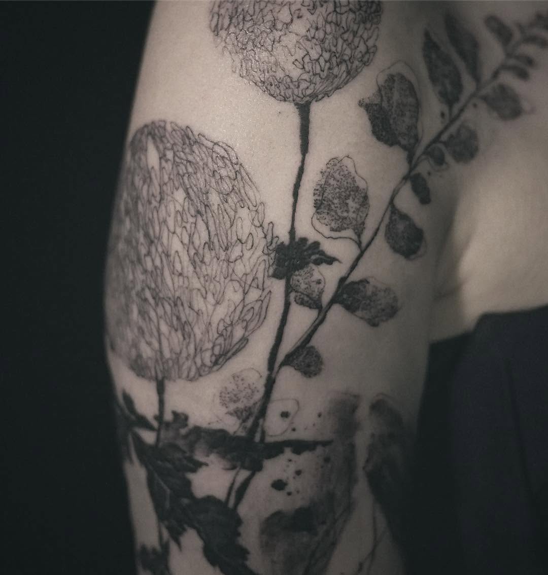 Flower, Rose, Nature