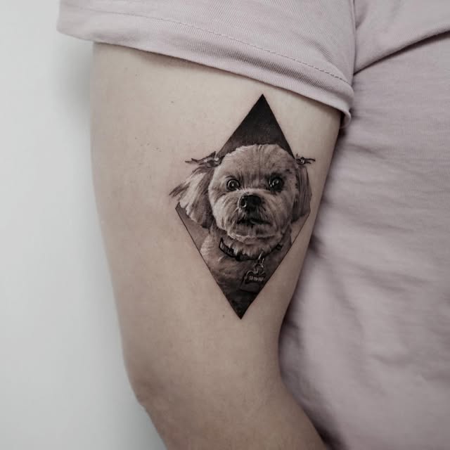kate_sv_art