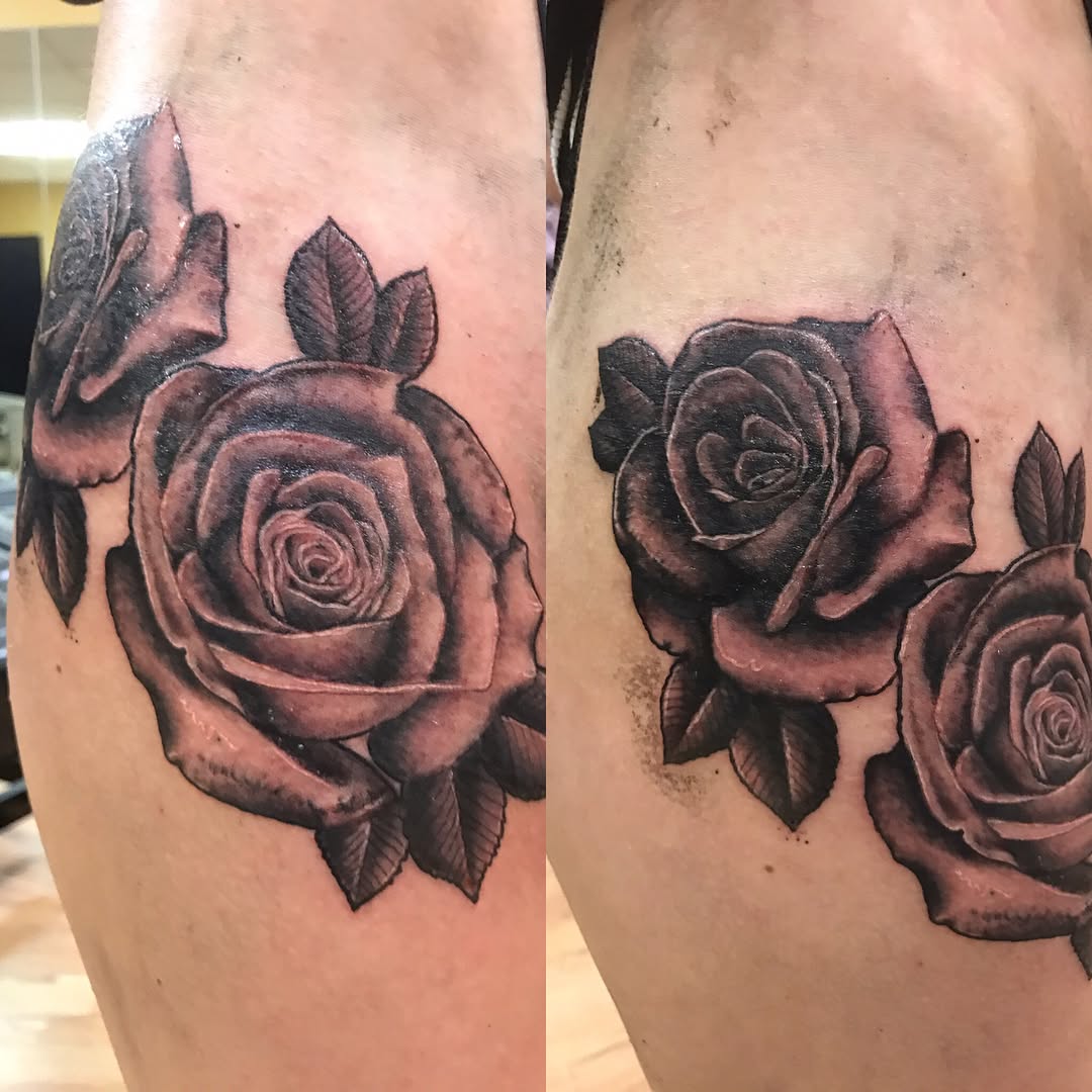 Flower, Rose