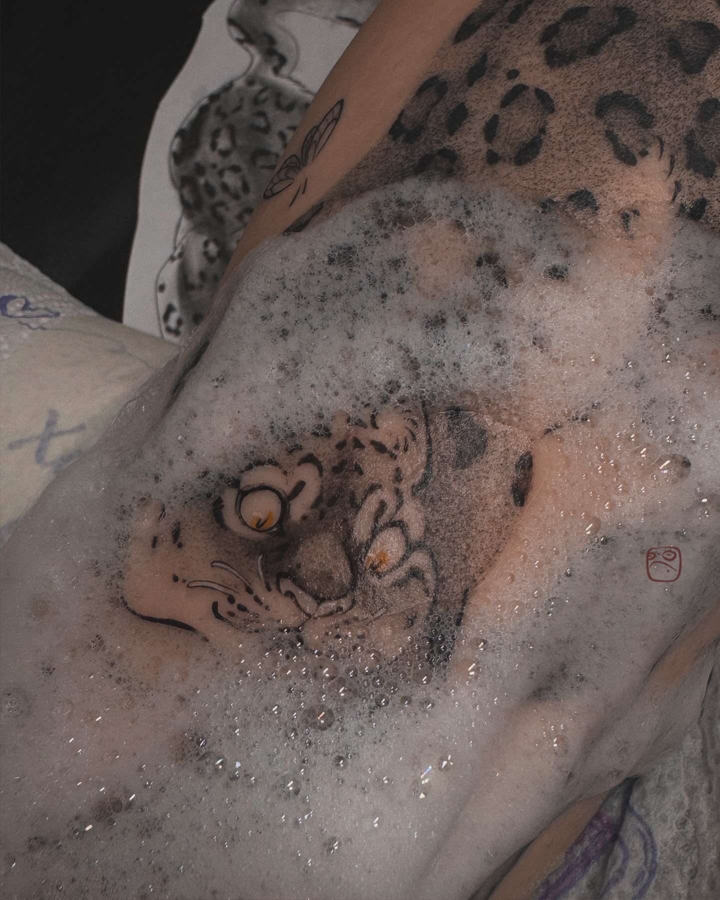 Tiger, Animal, 표범