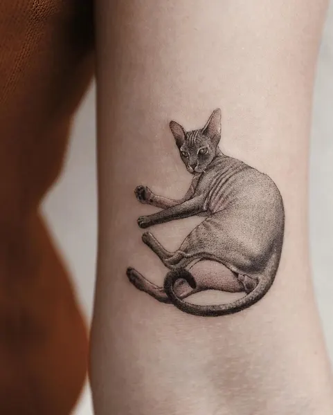 Animal