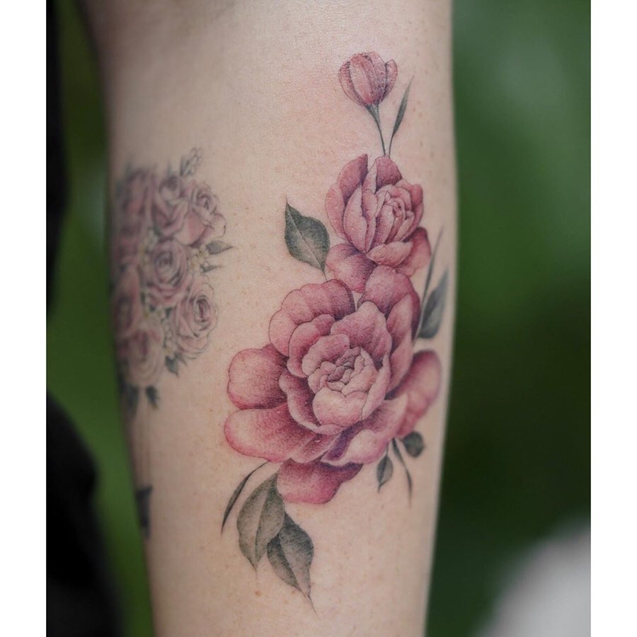 Flower, Rose