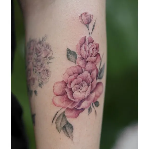 Flower, Rose