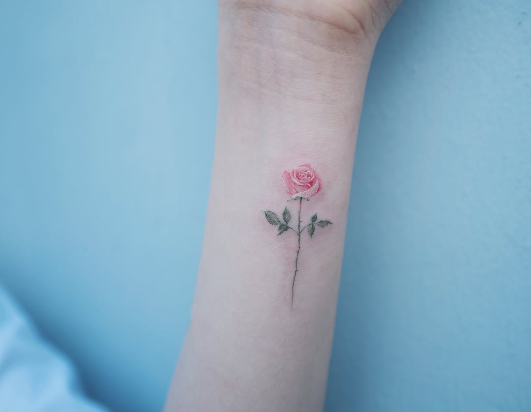 Rose, Flower