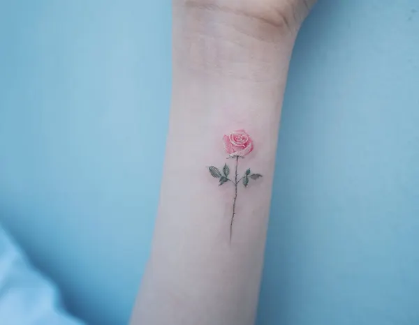 Rose, Flower