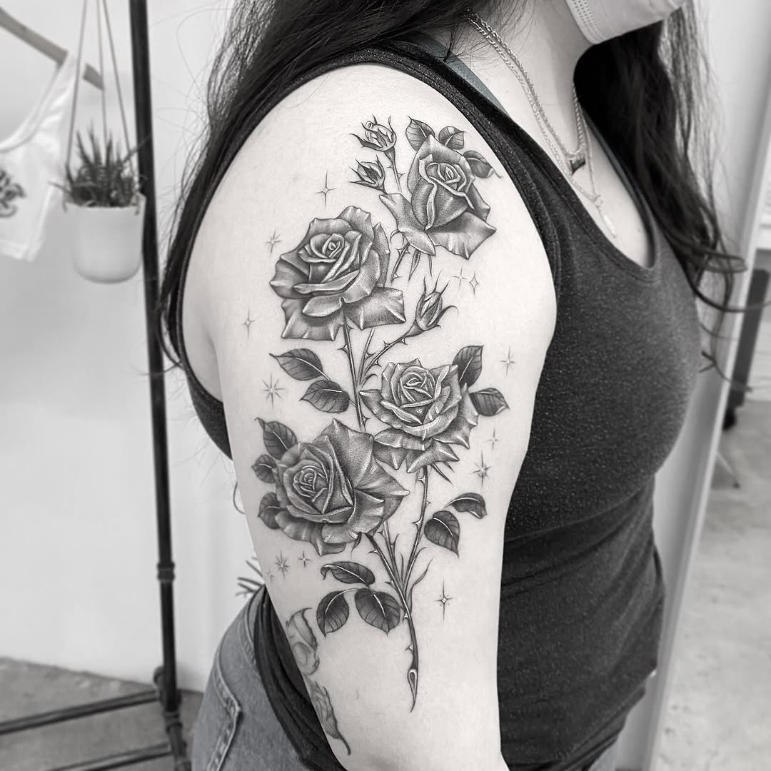 Rose, Nature, Flower