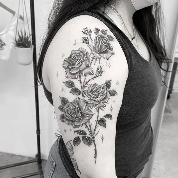 Rose, Nature, Flower