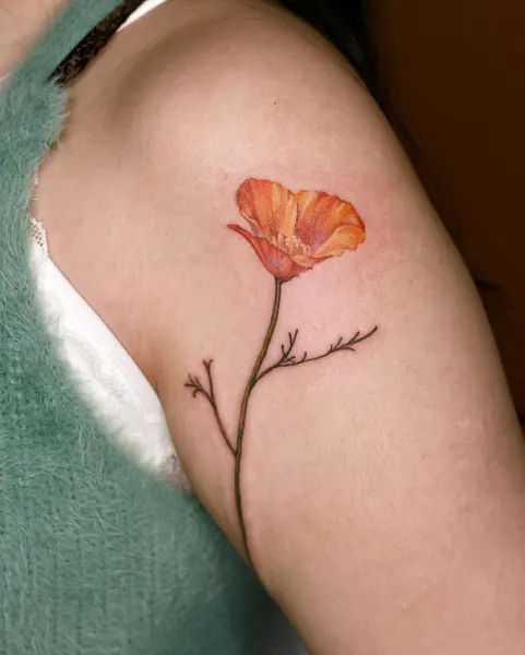 Flower, Rose