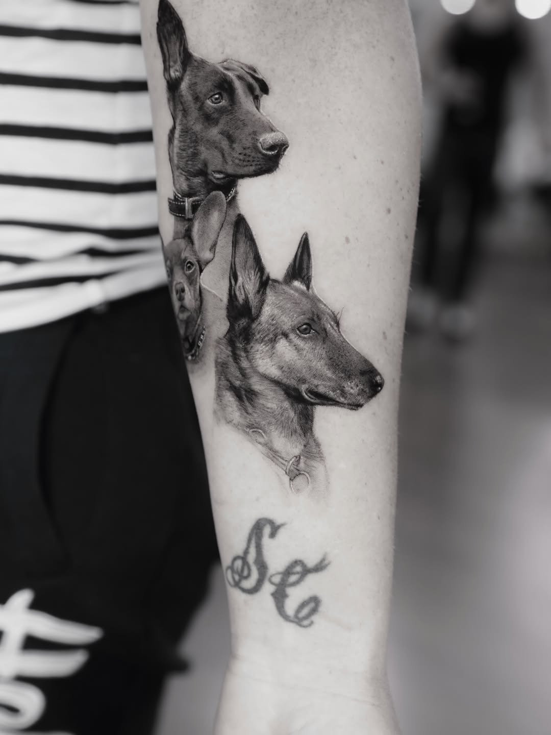 ben_tats